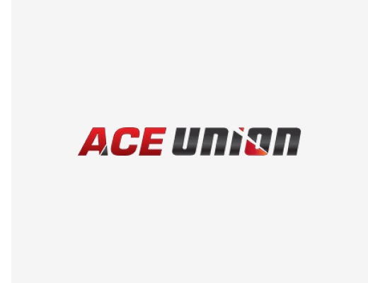 Image for Ace Union Ltd