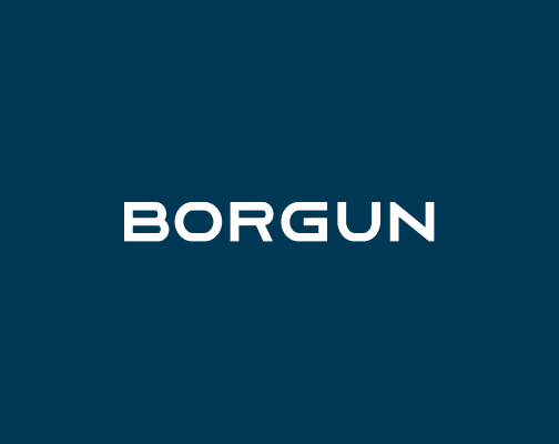 Image for Borgun